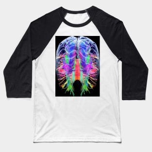 White matter fibres and brain, artwork (C015/1936) Baseball T-Shirt